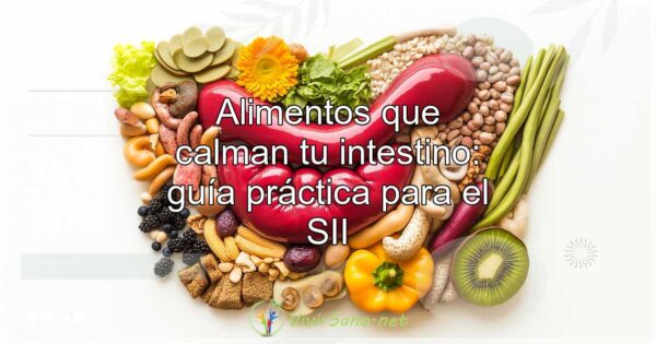 Alimentos que calman tu intestino: guía práctica para el SII