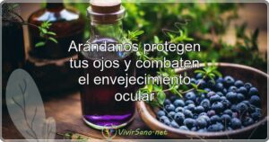 Arándanos protegen tus ojos y combaten el envejecimiento ocular