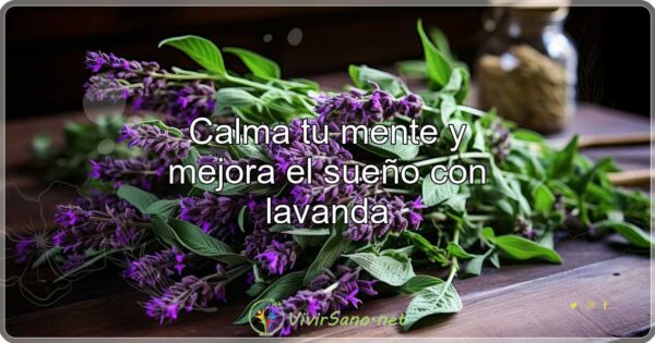 Calma tu mente y mejora el sueño con lavanda