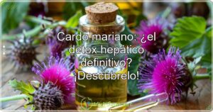 Cardo mariano: ¿el detox hepático definitivo? ¡Descúbrelo!