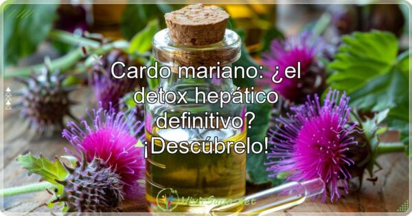 Cardo mariano: ¿el detox hepático definitivo? ¡Descúbrelo!