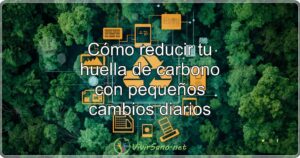 Cómo reducir tu huella de carbono con pequeños cambios diarios