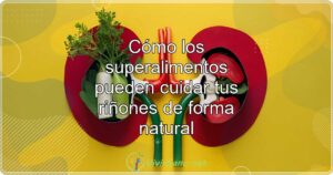Cómo los superalimentos pueden cuidar tus riñones de forma natural