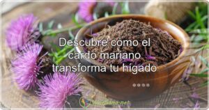 Descubre cómo el cardo mariano transforma tu hígado