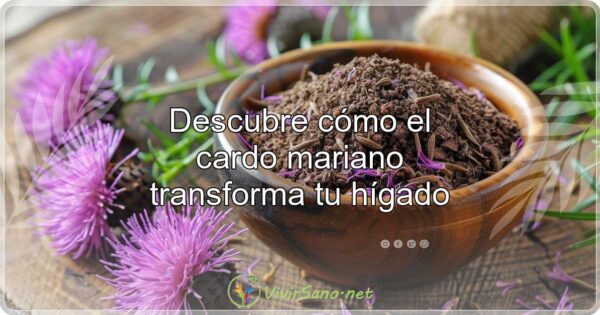Descubre cómo el cardo mariano transforma tu hígado