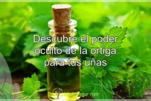 Descubre el poder oculto de la ortiga para tus uñas