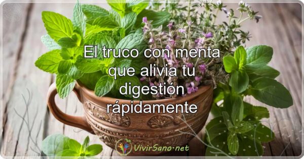 El truco con menta que alivia tu digestión rápidamente