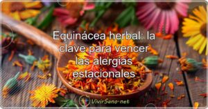 Equinácea: la clave para vencer las alergias estacionales