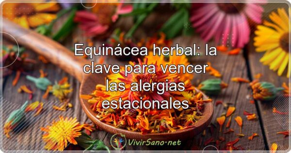Equinácea: la clave para vencer las alergias estacionales