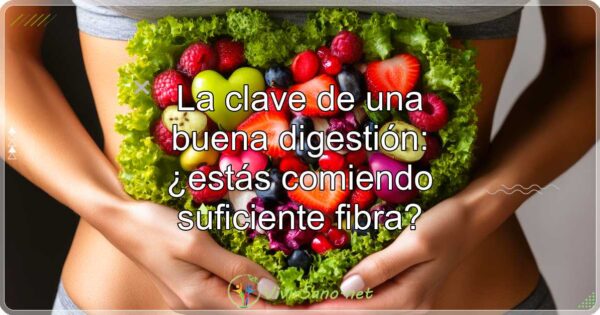 La clave de una buena digestión: ¿estás comiendo suficiente fibra?