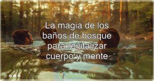 La magia de los baños de bosque para revitalizar cuerpo y mente