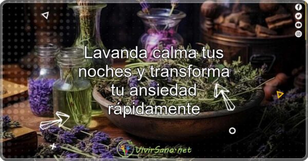 Lavanda calma tus noches y transforma tu ansiedad rápidamente