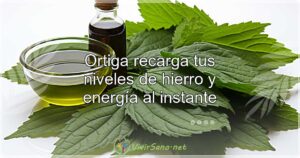 Ortiga recarga tus niveles de hierro y energía al instante