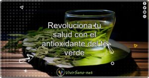 Revoluciona tu salud con el antioxidante del té verde