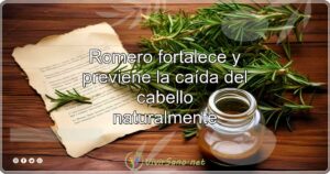 Romero fortalece y previene la caída del cabello naturalmente