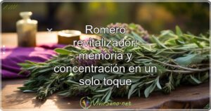 Romero revitalizador: memoria y concentración en un solo toque