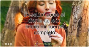 Descubrí cómo el diente de león limpió mi cuerpo completo