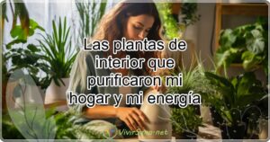 Las plantas de interior que purificaron mi hogar y mi energía