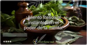 ¡Aliento fresco al instante con el poder de la menta!