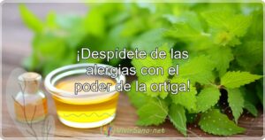 ¡Despídete de las alergias con el poder de la ortiga!