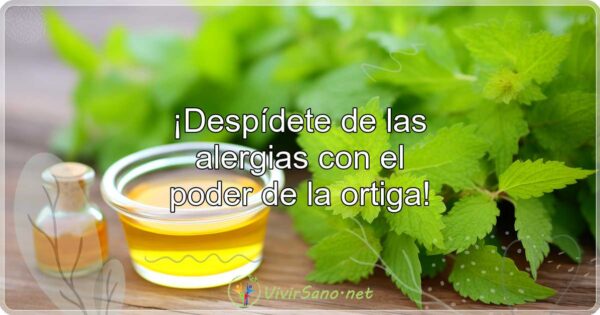 ¡Despídete de las alergias con el poder de la ortiga!