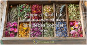 ¡Empieza fácil! Las plantas medicinales que debes conocer hoy