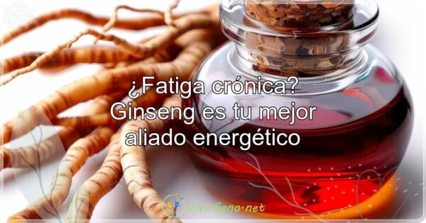 ¿Fatiga crónica? Ginseng es tu mejor aliado energético