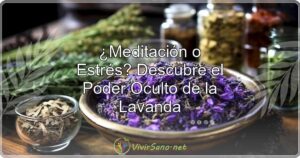 ¿Meditación o Estrés? Descubre el Poder Oculto de la Lavanda