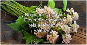¿No puedes dormir? Descubre el poder relajante de la valeriana